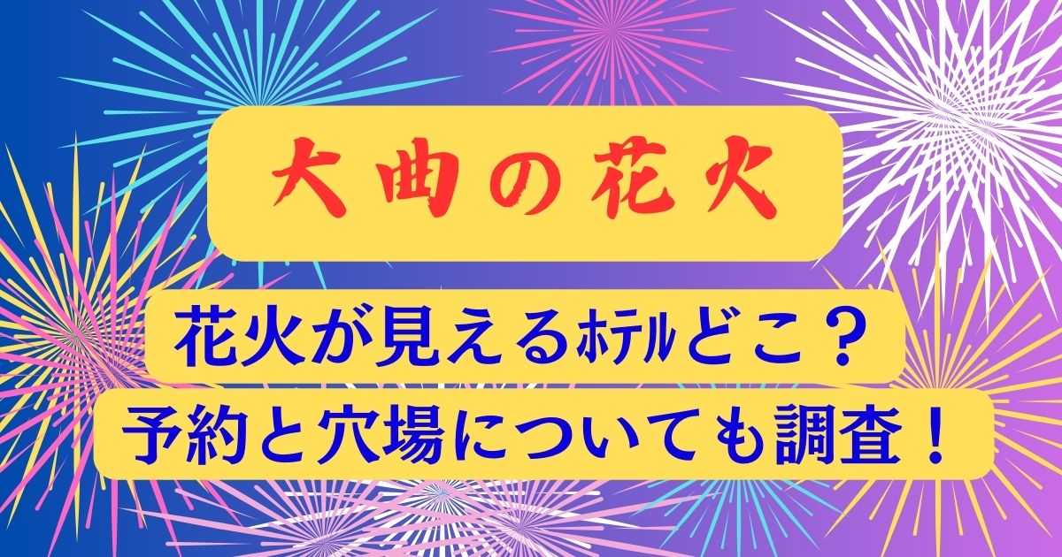 2024 大曲花火大会チケット ペア(ベンチ)席 上手い